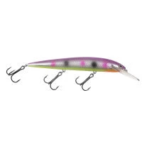 Northland Tackle Rumble B - Image 6