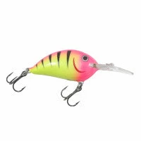 Northland Rumble Bug