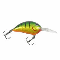 Northland Rumble Bug - Image 3