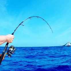 Nomad NDT Heavy Jigging Spinning Rod NJS