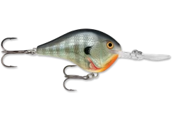 Rapala DT (Dives-To) CrankBait