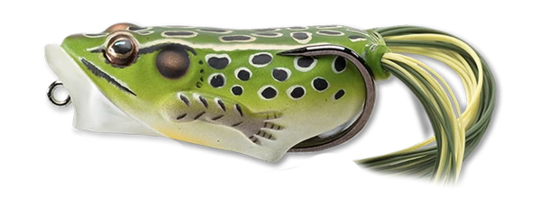 Live Target Hollow Body Popper