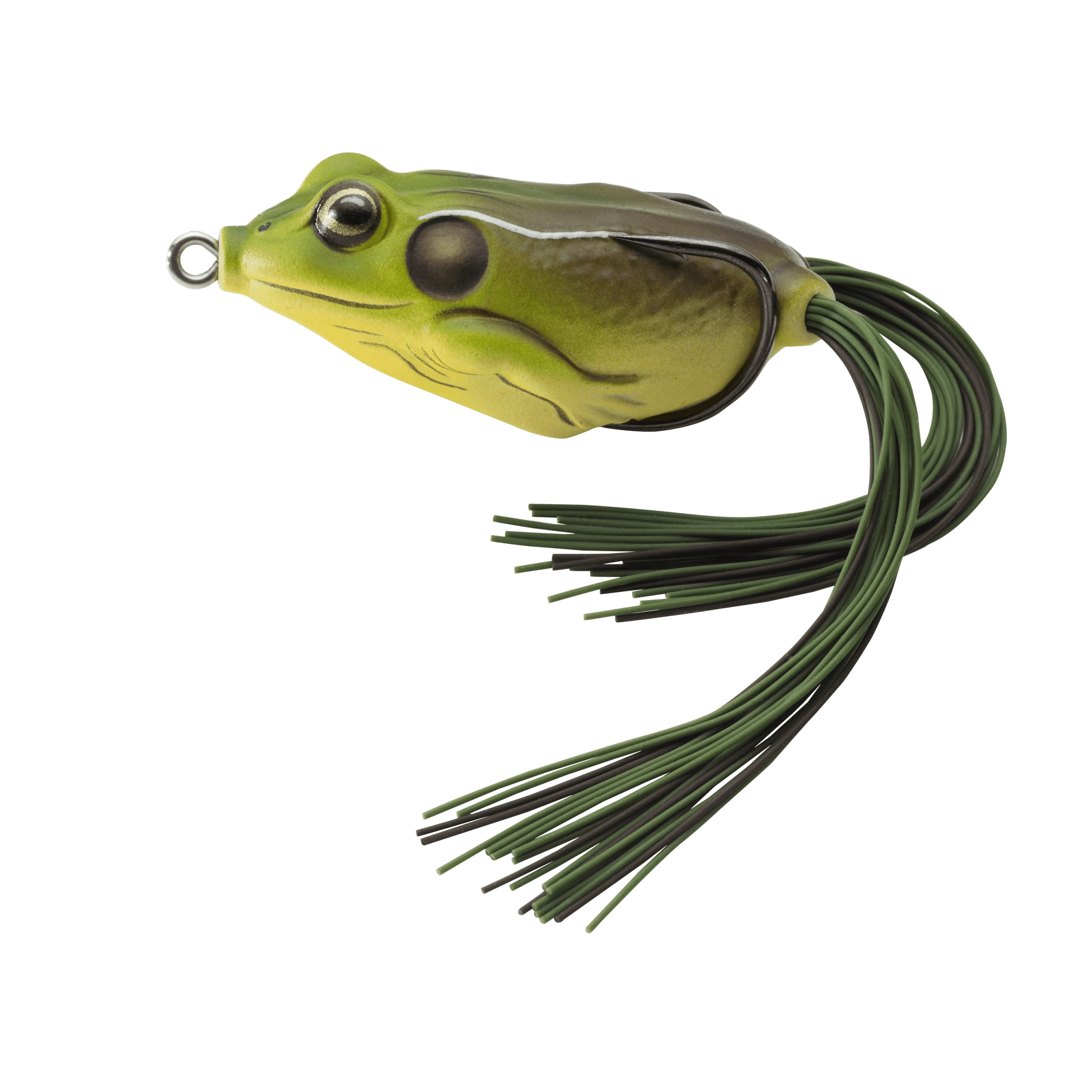 Live Target Hollow-Body Frog - Image 8