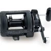 Shimano Charter Special Conventional Reels