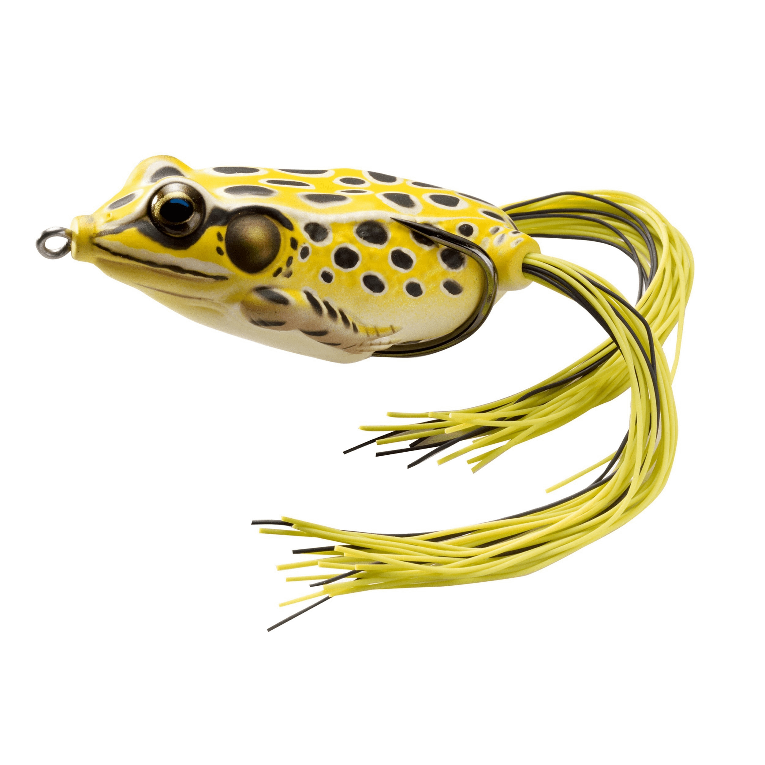 Live Target Hollow-Body Frog - Image 7