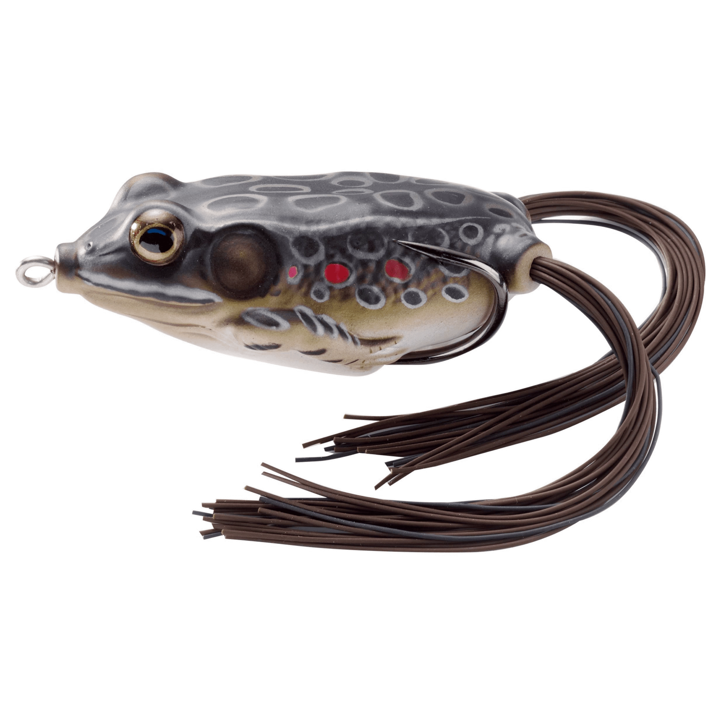 Live Target Hollow-Body Frog - Image 9