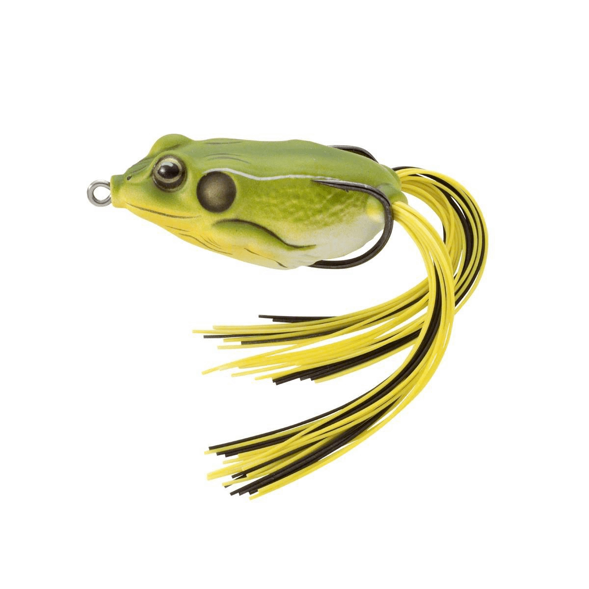 Live Target Hollow-Body Frog - Image 5
