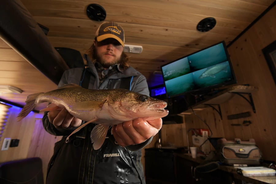 Aqua Vu Quad HD - Image 3